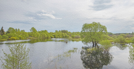 Calm lake with a tree in the middle