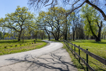 Road with a fence on the side and trees in the background