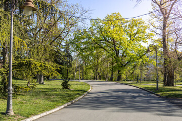 Park with a road running through it