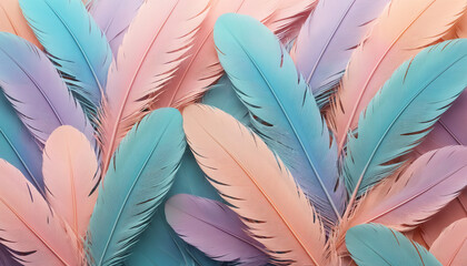 pastel colour feather abstract background