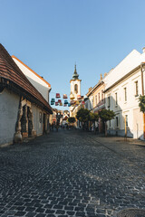 street view of danube river with town medieval hungarian village with many autumn leaves on wall