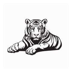 Tiger Laying Down image vector isolated on white background.