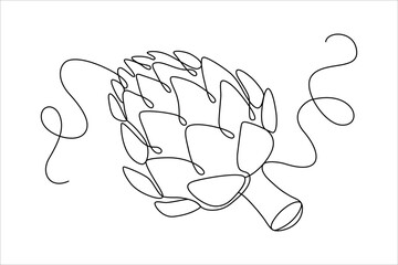 Artichoke drawn with one continuous line in abstract minimalistic style, delicacy vegetable, editable vector outline.