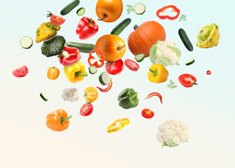 Many different fresh vegetables in air on light background