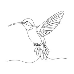 Fototapeta premium humming bird continuous line drawing vector illustration