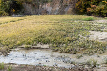 豪雨災害で土砂が流れ込んだ秋の水田