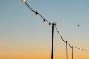 Fairy lights with illuminated light bulbs. Clear sky, sunset, summer.