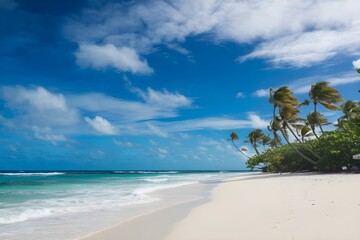 beach with coconut trees