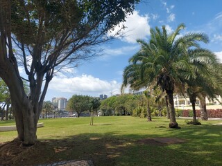Nature, mountain, green, hill, coast, shore, shoreline, coastline, sky, clouds, travel, tourism, portugal, travel, destination, peace, madeira island