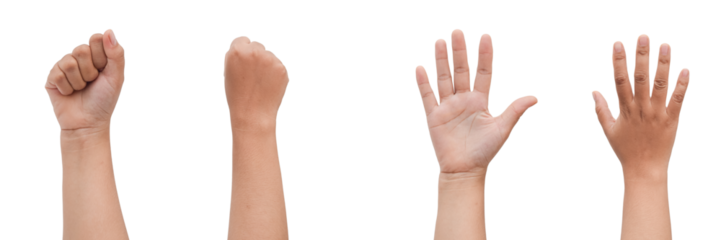 A clenched fist, an open hand, and a raised hand, showcasing various hand gestures against a transparent background