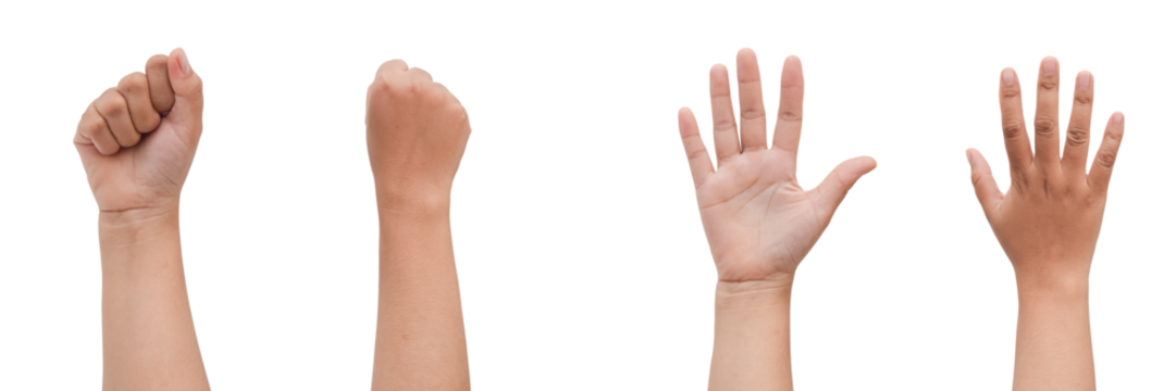 A clenched fist, an open hand, and a raised hand, showcasing various hand gestures against a transparent background