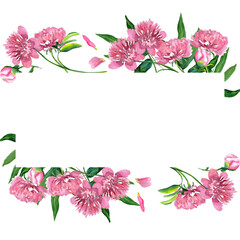 Fototapeta premium set of watercolor peony postcard frames