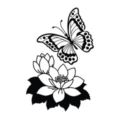 Butterfly design, labeled line and fill art vector illustration. 