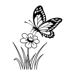 Butterfly design, labeled line and fill art vector illustration. 