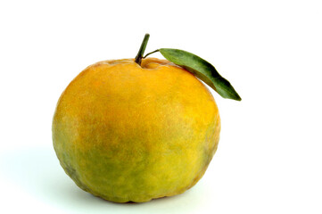 One Orange on green leaf on white background