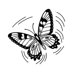 Butterfly design, labeled line and fill art vector illustration. 