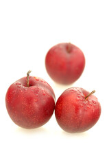 three Plum plume on white background