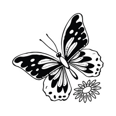 Butterfly design, labeled line and fill art vector illustration. 