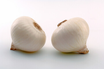 Two White Onions on white background