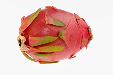 Prickle Pear on white background