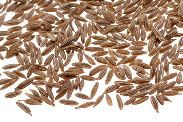 Cumin Cuminum cyminum on white background