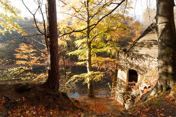 Stary wapiennik w śrdku lasu