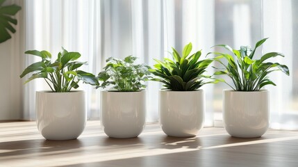 Fototapeta premium Tranquil Indoor Space Featuring Four White Planters with Lush Greenery