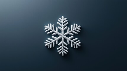 Frozen snowflake illustration seasonal clipart delicate details seas environment aerial view winter concept