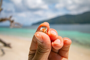 Sichuan crab and the beautiful blue sea and sky