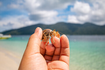 Sichuan crab and the beautiful blue sea and sky