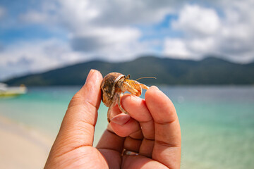 Sichuan crab and the beautiful blue sea and sky