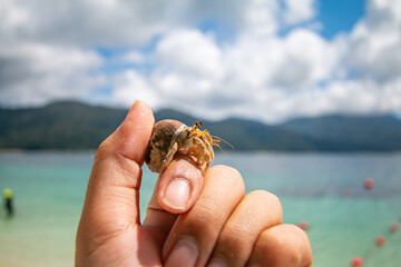Sichuan crab and the beautiful blue sea and sky