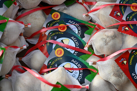 Aglio di Voghiera or Voghiera garlic in Emili region in Italy