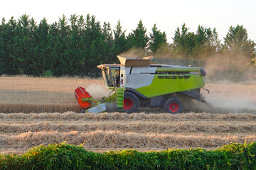 agricultural machinery. agriculture industry. modern combine harvester and farmers harvesting a...
