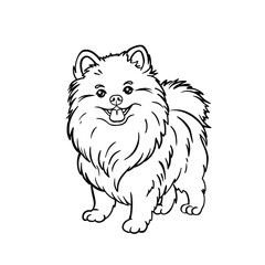 Spitz Line Dog Coloring Page, Hand Drawn Vector Illustration