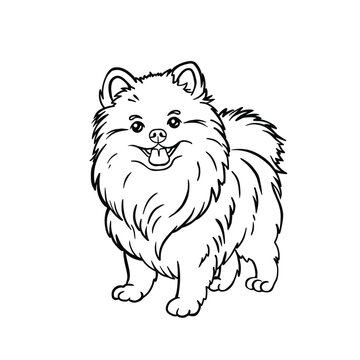 recommend clip art: Spitz Line Dog Coloring Page, Hand Drawn Vector Illustration