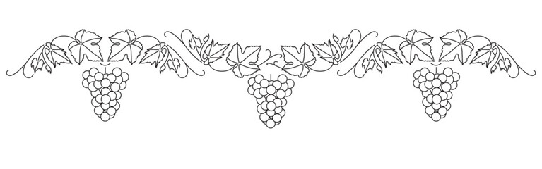 Bunch of grapes. Vine. Vector line drawing on white or transparent background. Grapevine. Seamless grape border. Decorative border. Symmetric. © HANNA