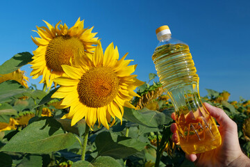 Human hand holding bottle of sunflower oil near sunflower in field