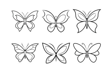 Butterfly design, labeled line art vector illustration. 