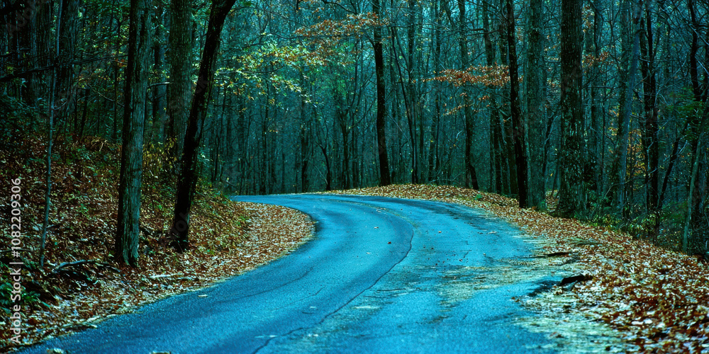 Poster a road with trees on both sides and a blue sky in the background