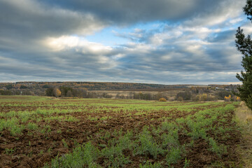 Fototapeta premium A field of dirt with a cloudy sky in the background