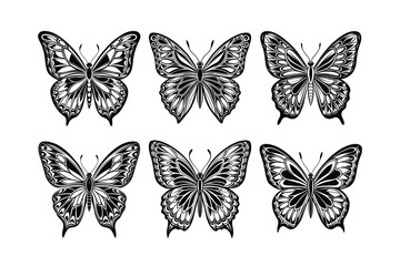 Butterfly design, labeled linocut vector illustration. 