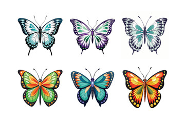 Butterfly design, labeled colorful vector art illustration. 