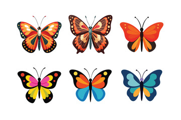 Butterfly design, labeled colorful vector art illustration. 