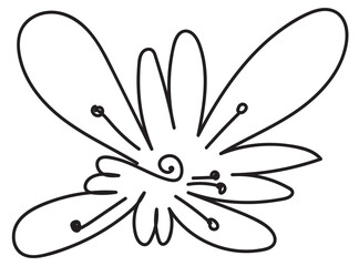 Hand drawn flower isolated. Doodle sketch of flowers, blossom scribble design elements, bloom drawing