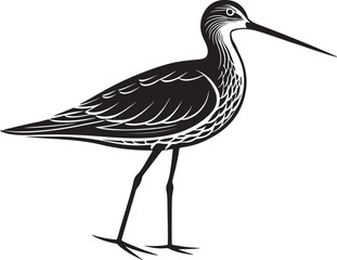 Obraz premium eurasian oystercatcher bird vector illustration