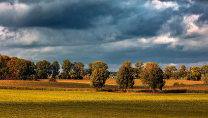 Klasyczny Jesienny Krajobraz © Wojciech Lisiński