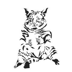 abstract cat vector silhouette