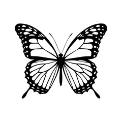 monarch butterfly silhouette Clipart image isolated on white background. Beautiful Butterfly Decoration element Vector