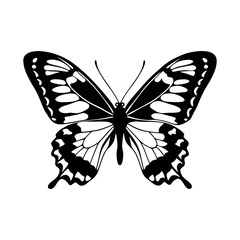 Black and white butterfly silhouette vector